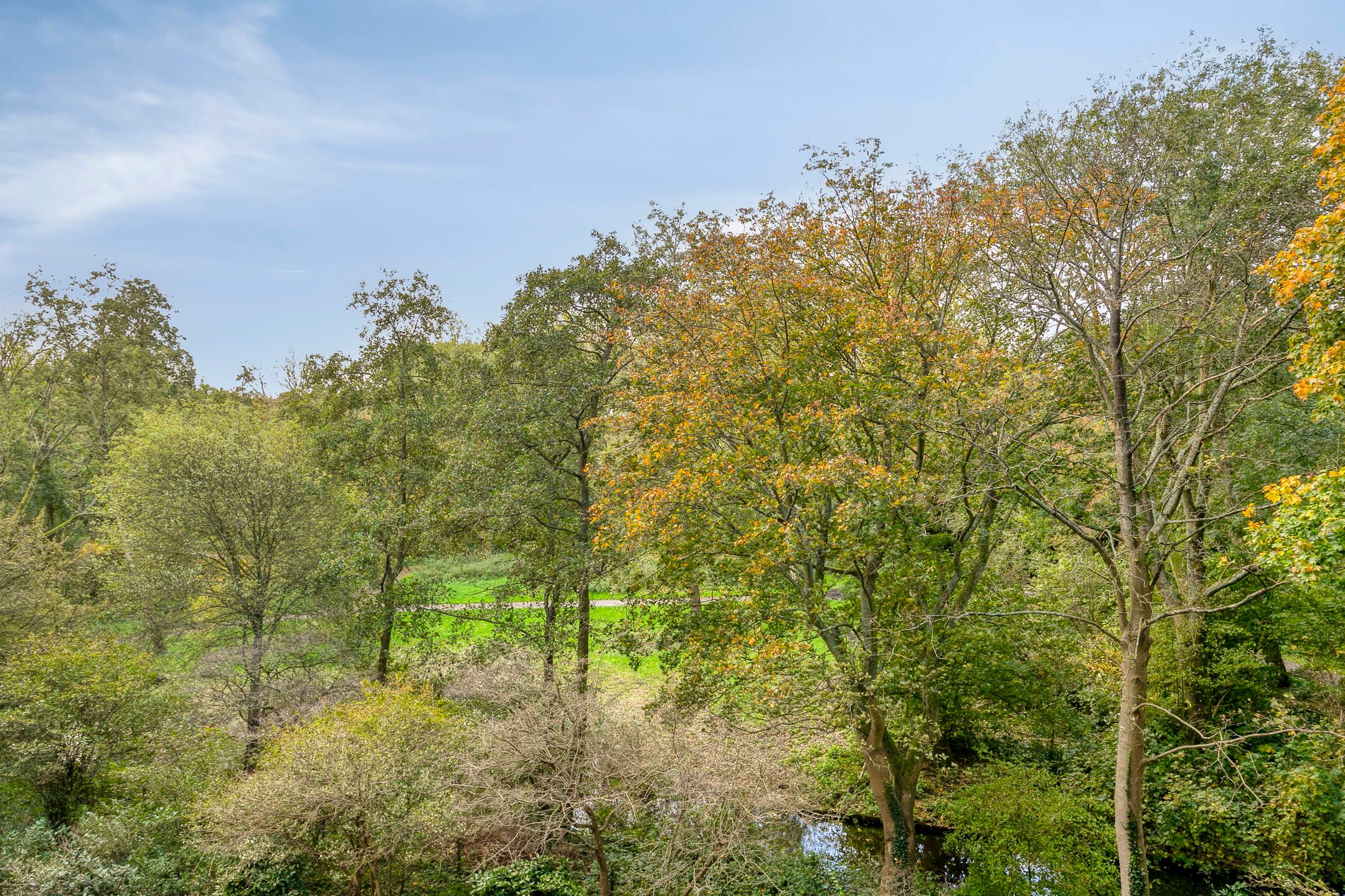 Foto 30 van Engelandlaan 1042