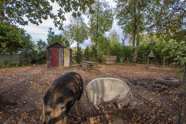 Photo 4 of Oude Thornerweg 13