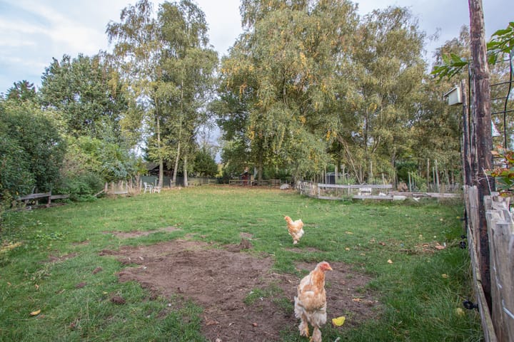 Photo 9 of Oude Thornerweg 13