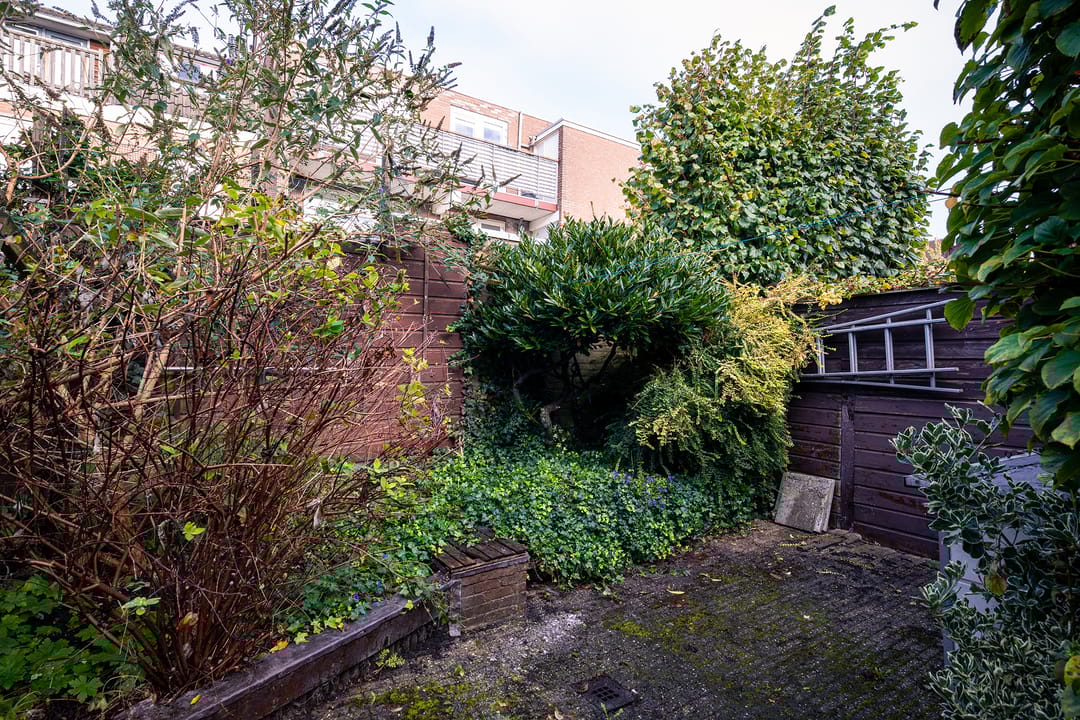 Foto 17 van A.L. Dyserinckstraat 106