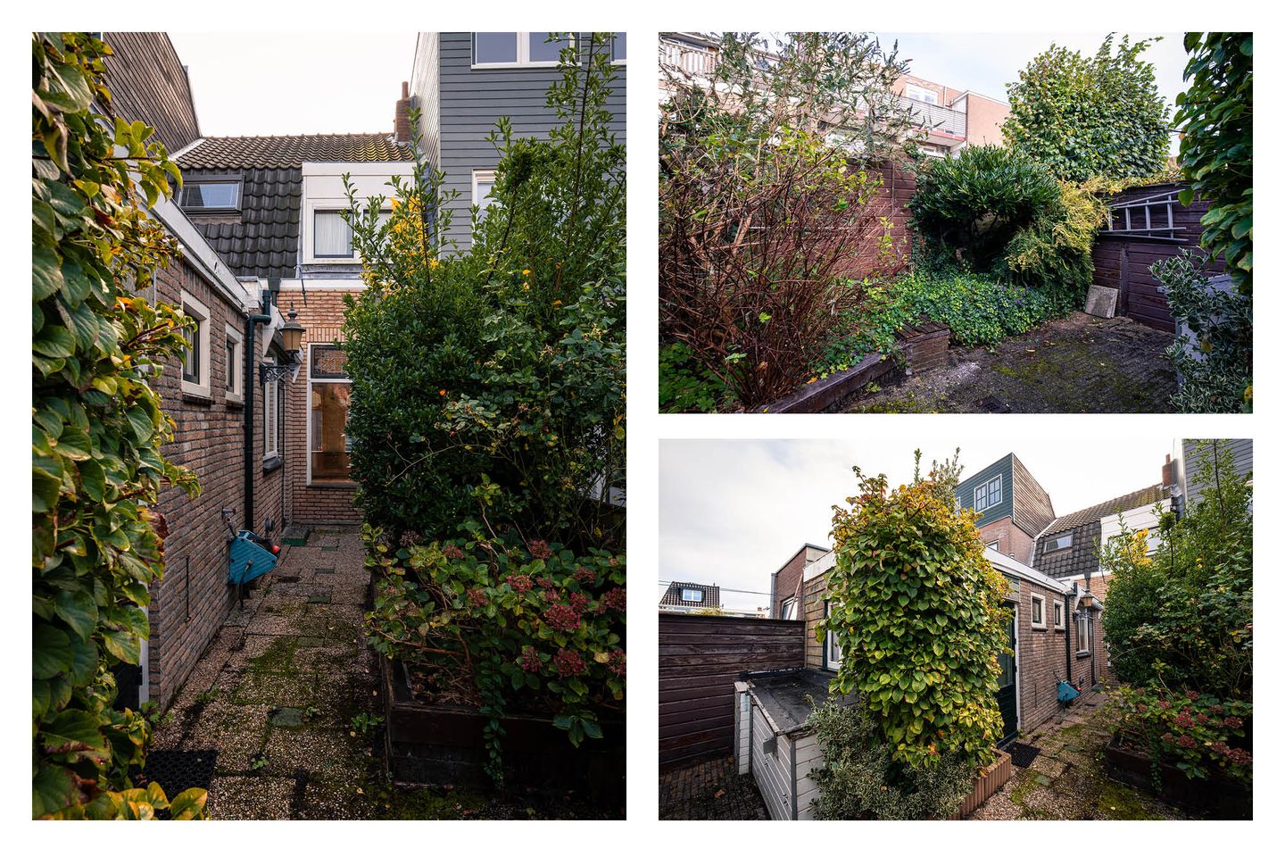 Foto 25 van A.L. Dyserinckstraat 106