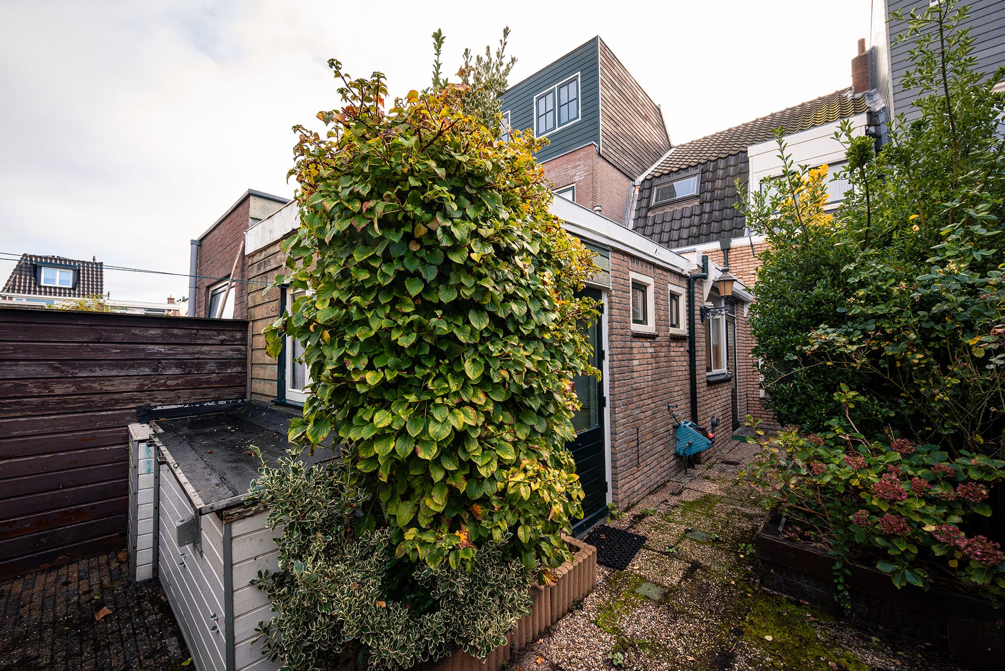 Foto 18 van A.L. Dyserinckstraat 106