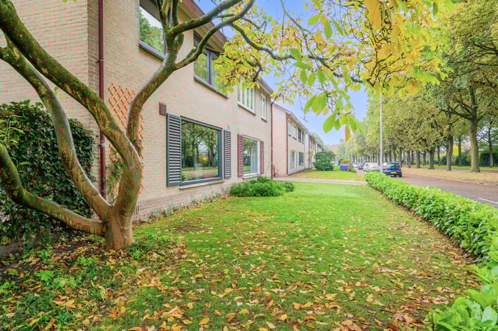 Foto 35 van Maarten Tromplaan 57