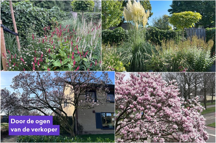 Foto 37 van Maarten Tromplaan 57