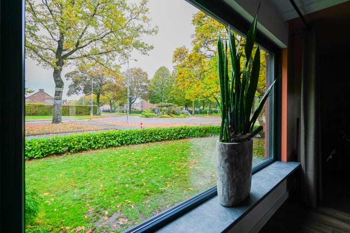 Foto 6 van Maarten Tromplaan 57