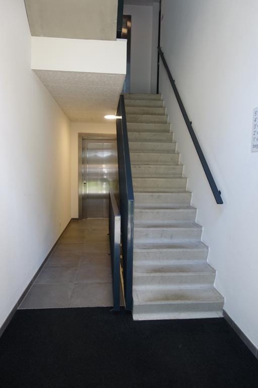 Foto 5 van Evenaar 243