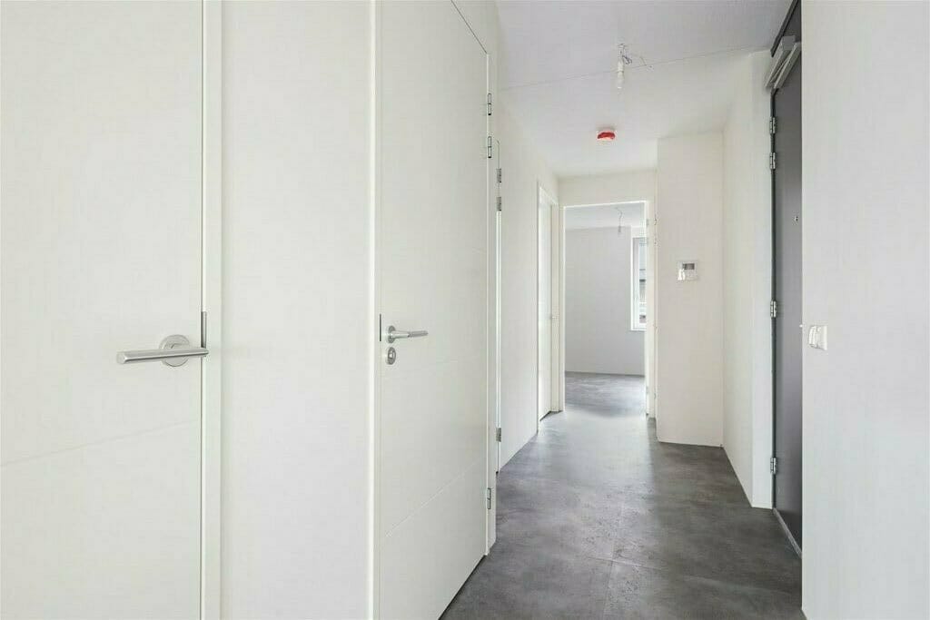 Photo 14 of Evenaar 243