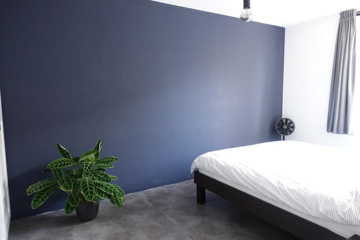 Foto 16 van Evenaar 243