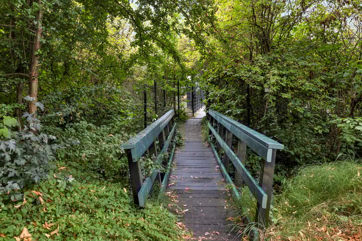 Photo 47 of Maredijk 103