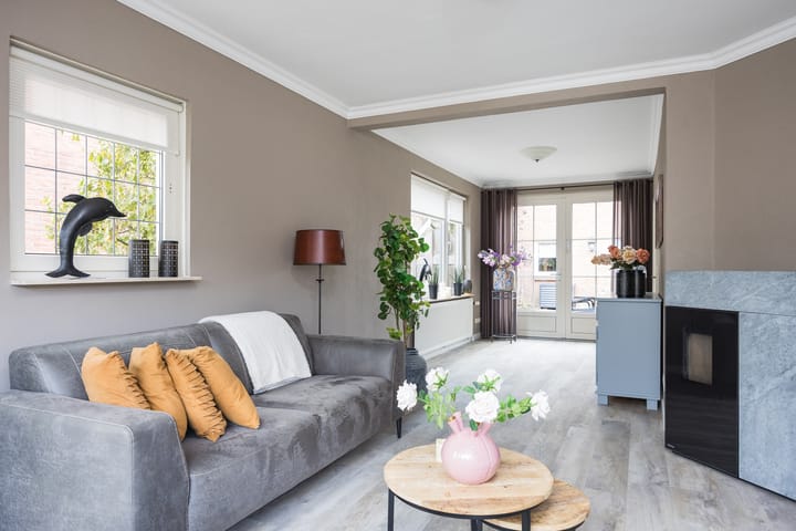 Foto 10 van van Loostraat 23