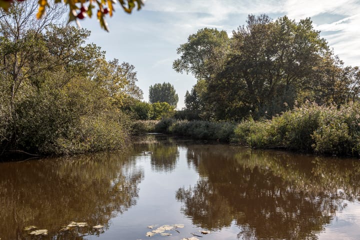 Photo 46 of Winkeldijk 39