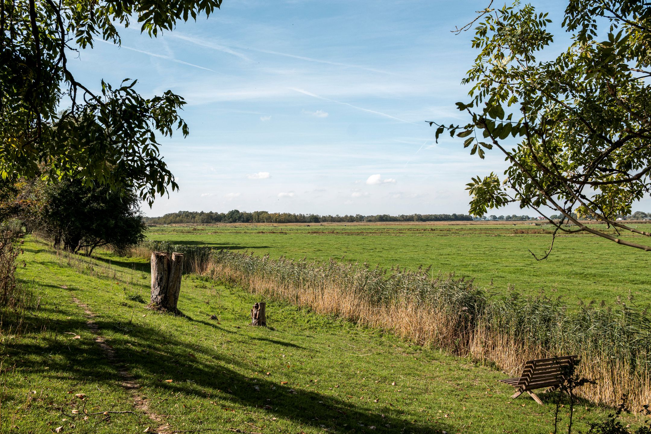 Foto 60 van Winkeldijk 39