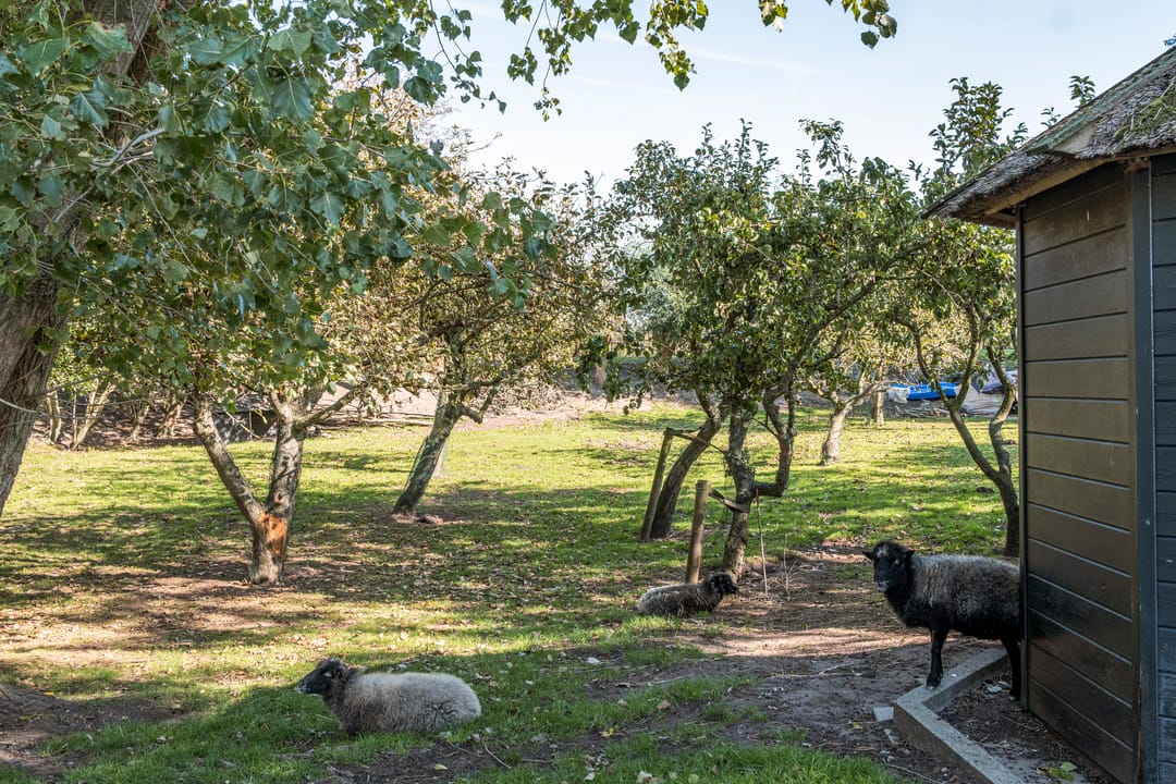 Foto 71 van Winkeldijk 39