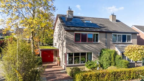 undefined main image