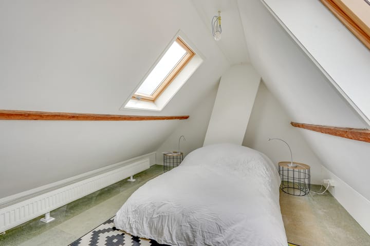 Foto 38 van Linnaeusstraat 25-BS