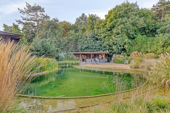 Photo 60 of Duinweg 107