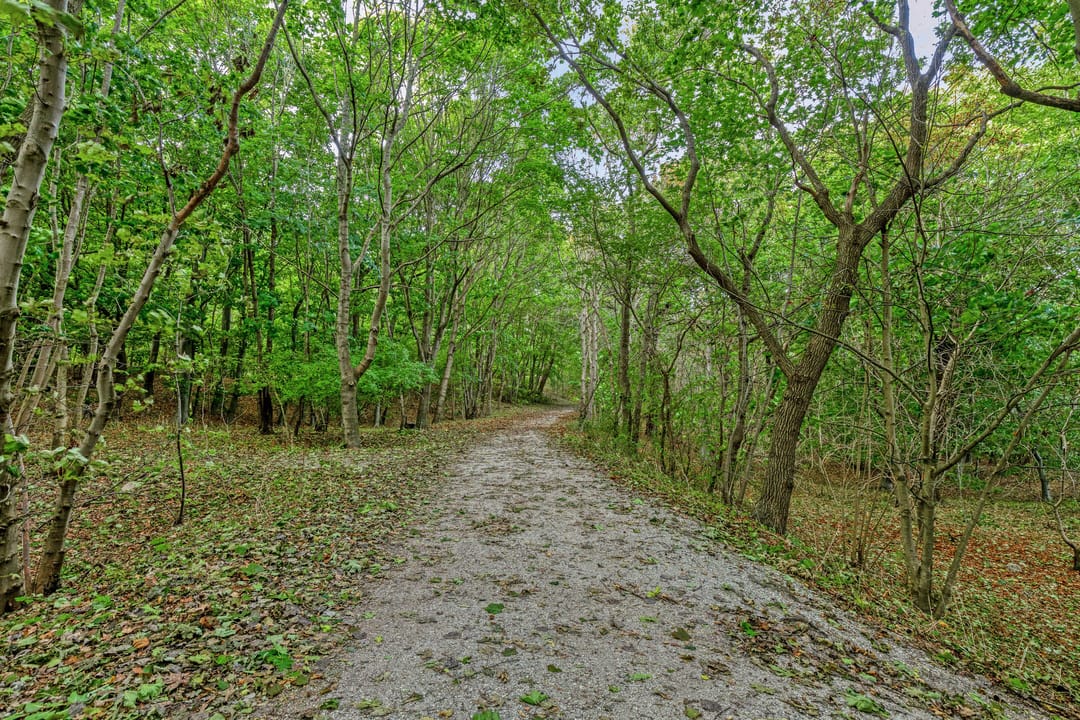 Photo 82 of Duinweg 107