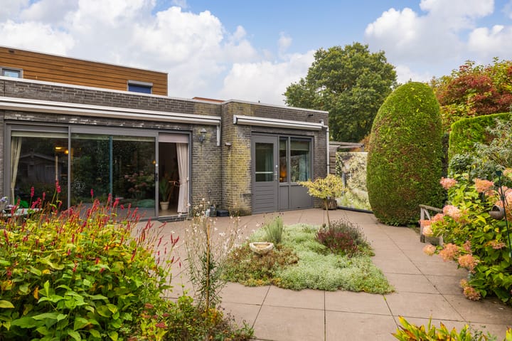 Photo 23 of Franjezwam 20