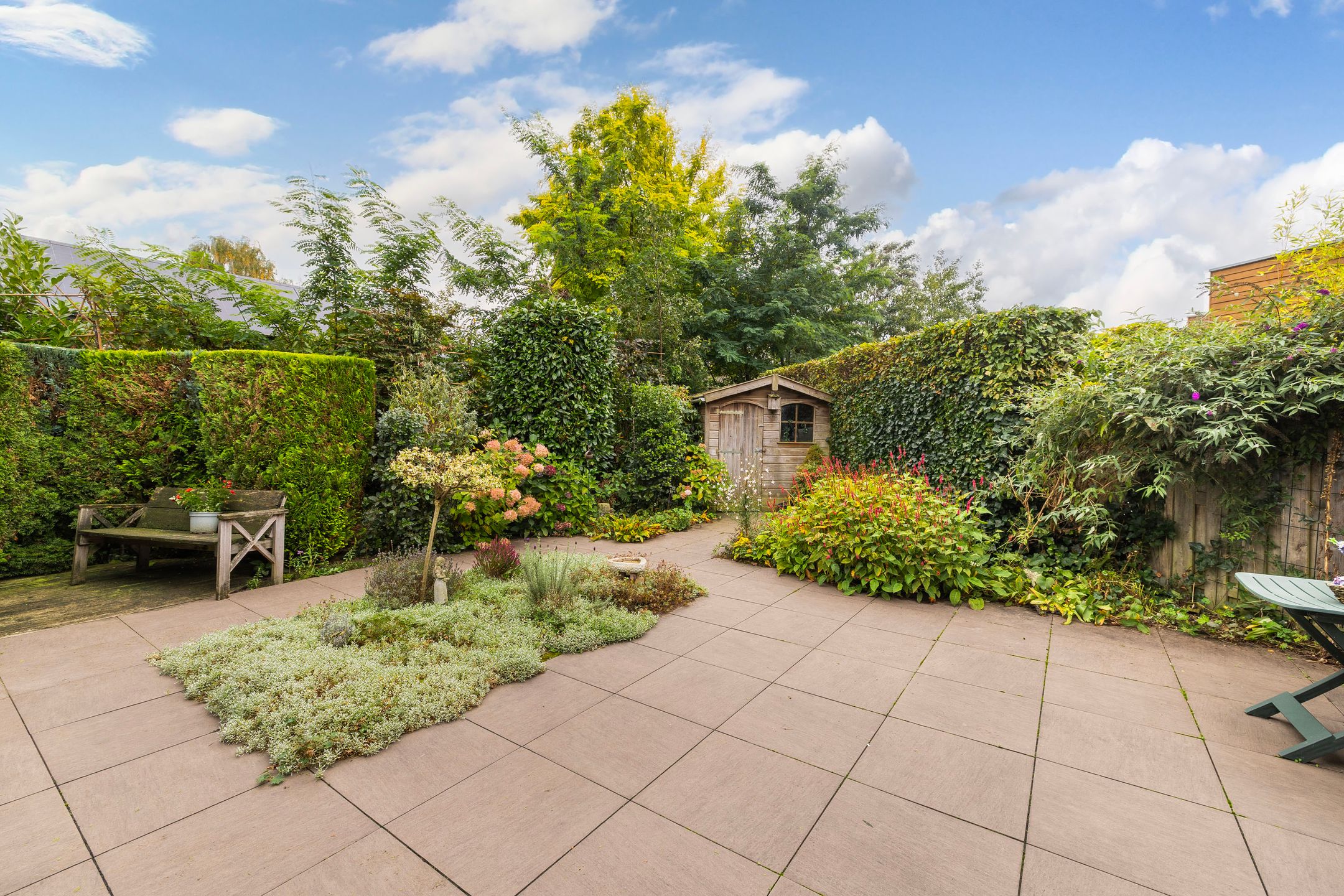 Foto 24 van Franjezwam 20