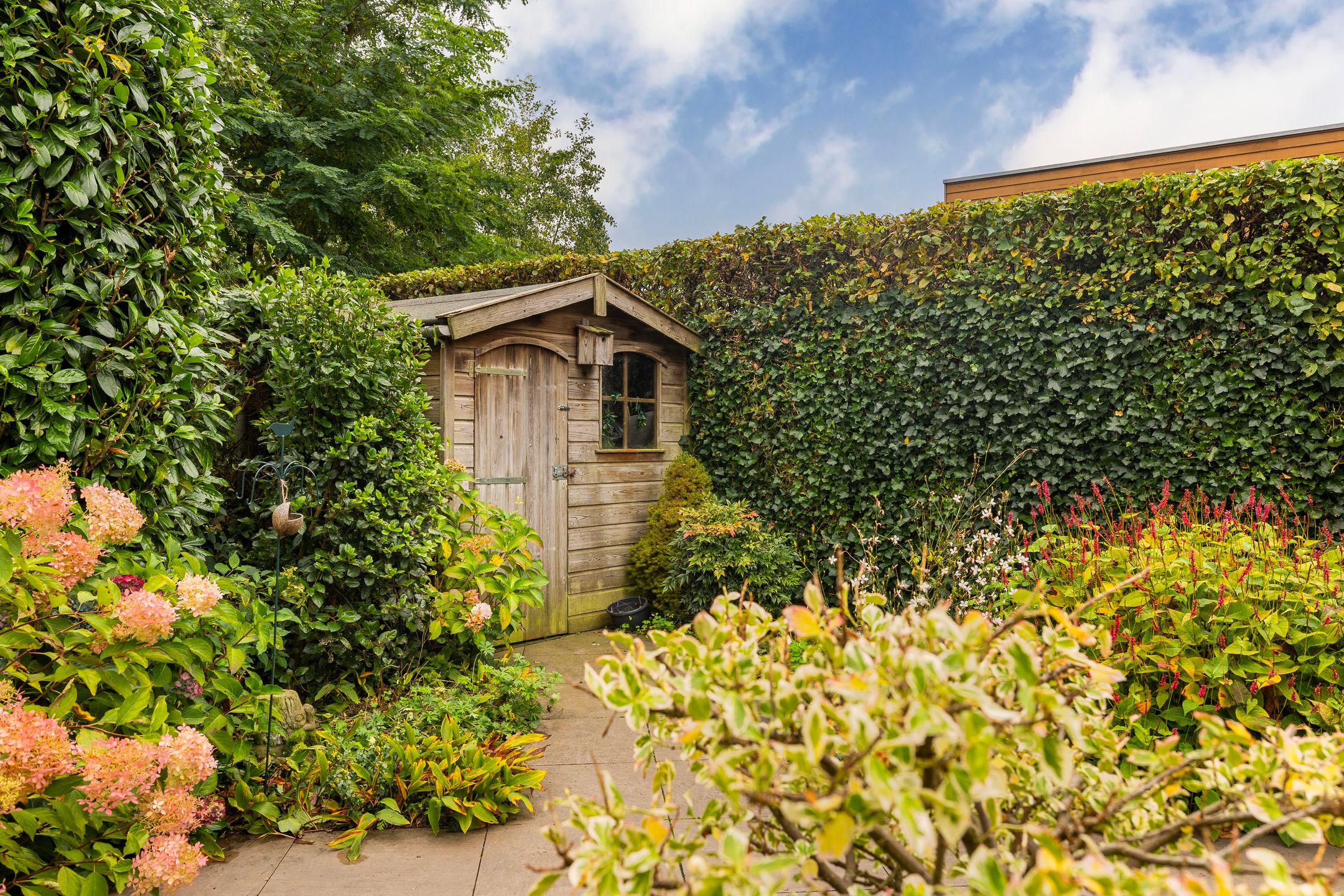 Foto 27 van Franjezwam 20