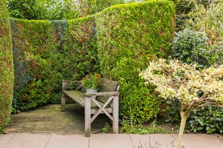 Photo 28 of Franjezwam 20