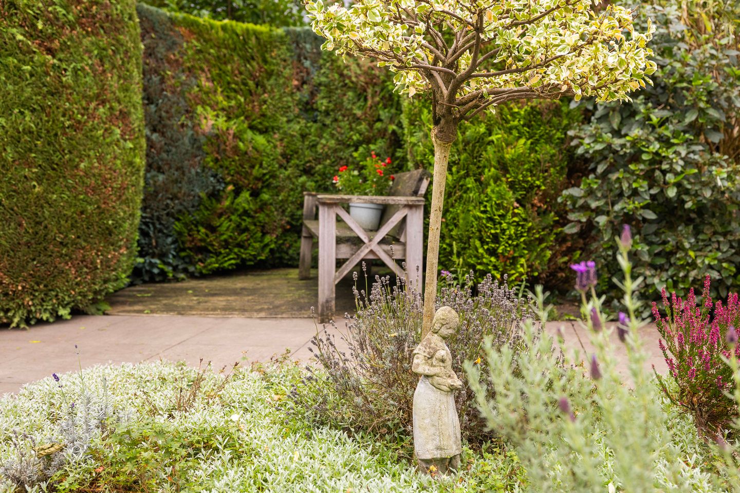 Foto 29 van Franjezwam 20