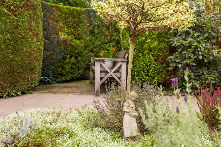 Photo 29 of Franjezwam 20