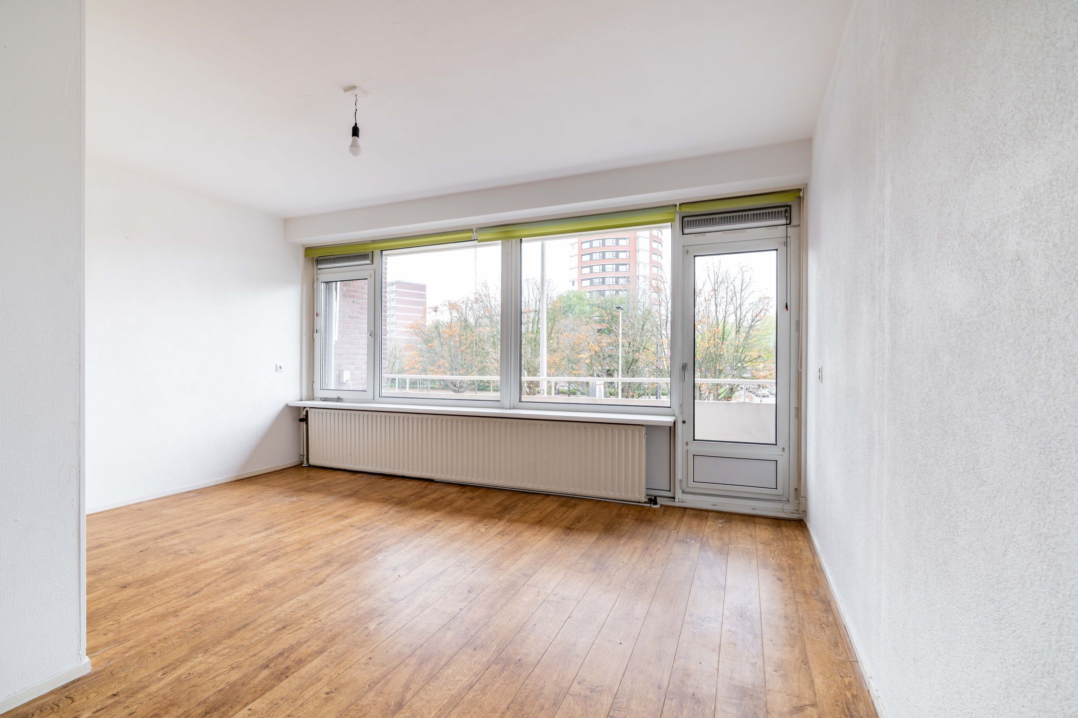 Foto 12 van Westlandseweg 39