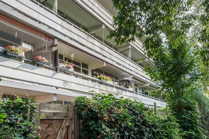 Photo 28 of Nobel 31