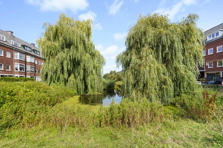 Photo 56 of Pomonaplein 81