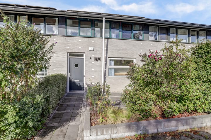 Foto 5 van Steintjeskreek 5