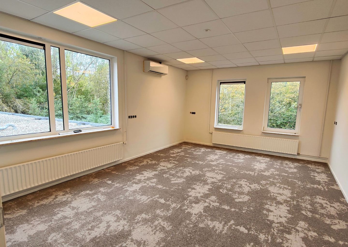 Bekijk foto 2 van Wilhelmina Bladergroenpad 1