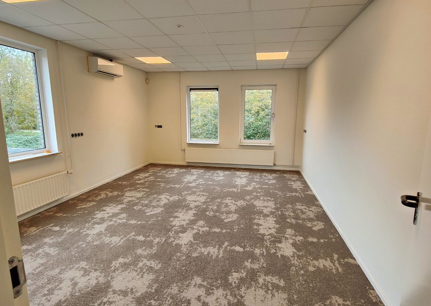 Bekijk foto 4 van Wilhelmina Bladergroenpad 1