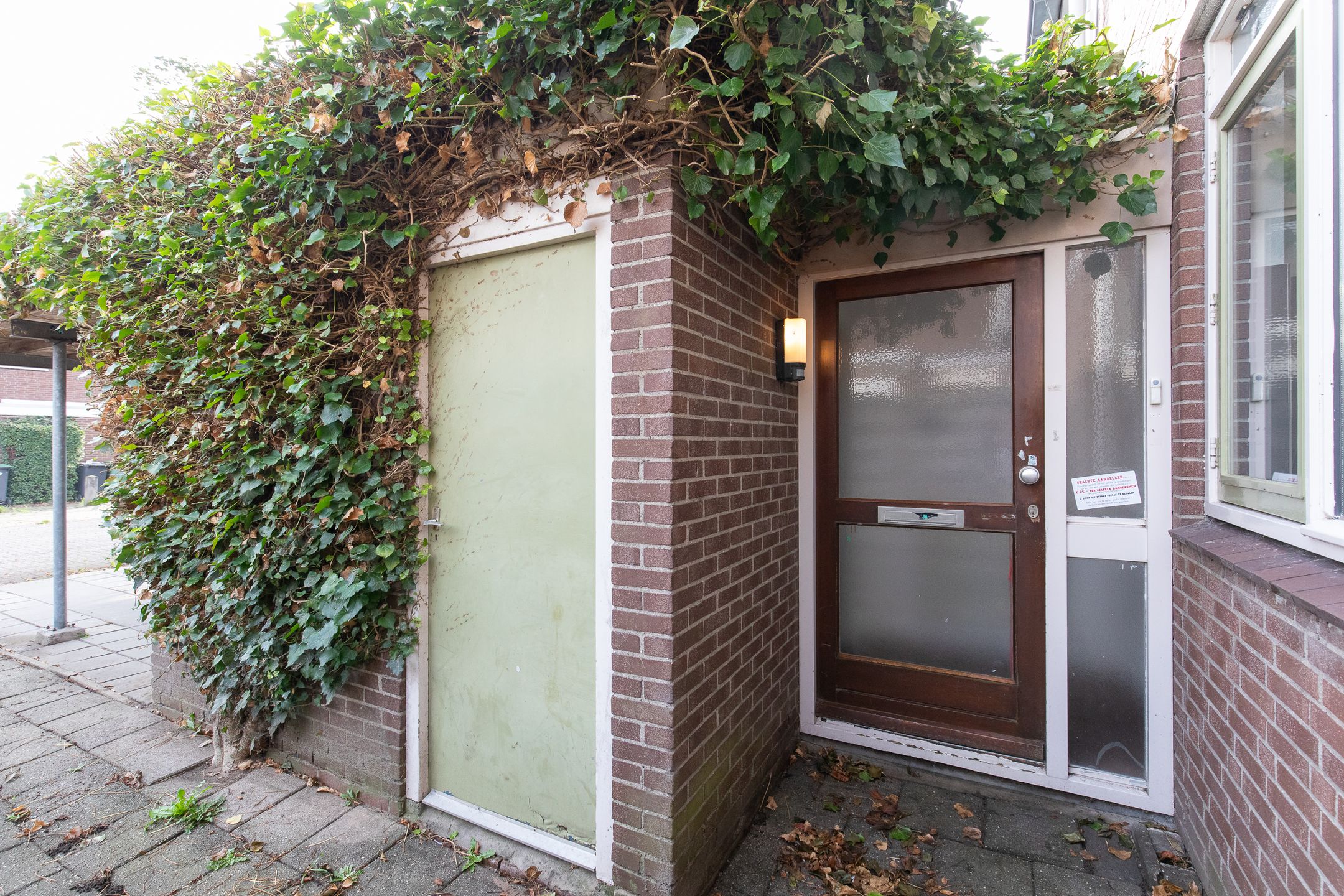 Photo 6 of Ganzepeppel 9