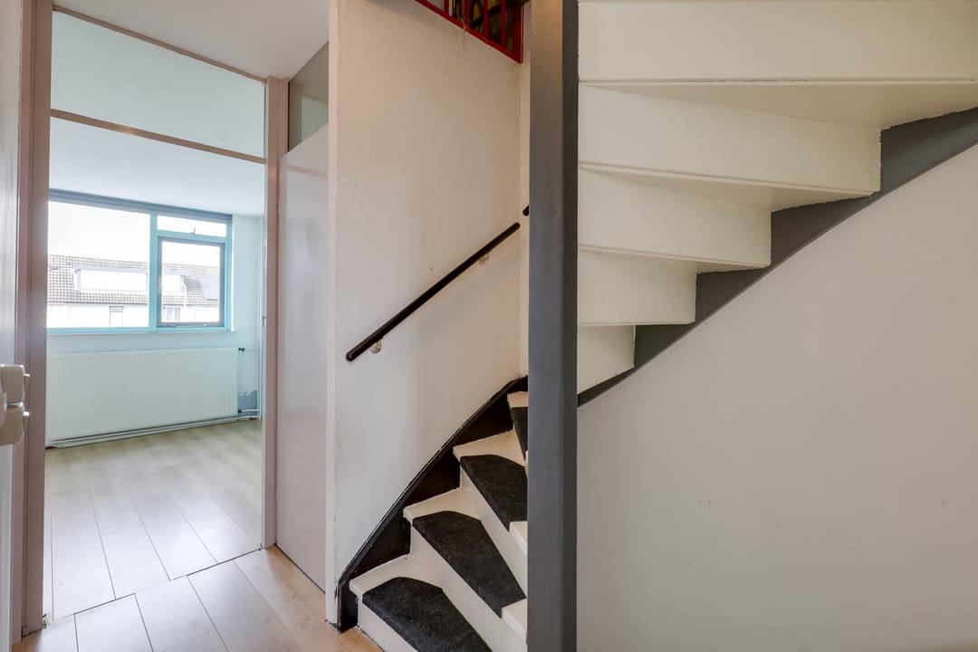 Photo 13 of Ganzepeppel 9