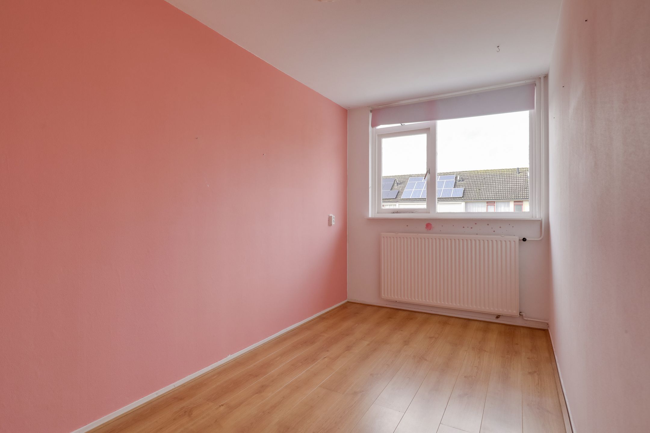 Photo 15 of Ganzepeppel 9