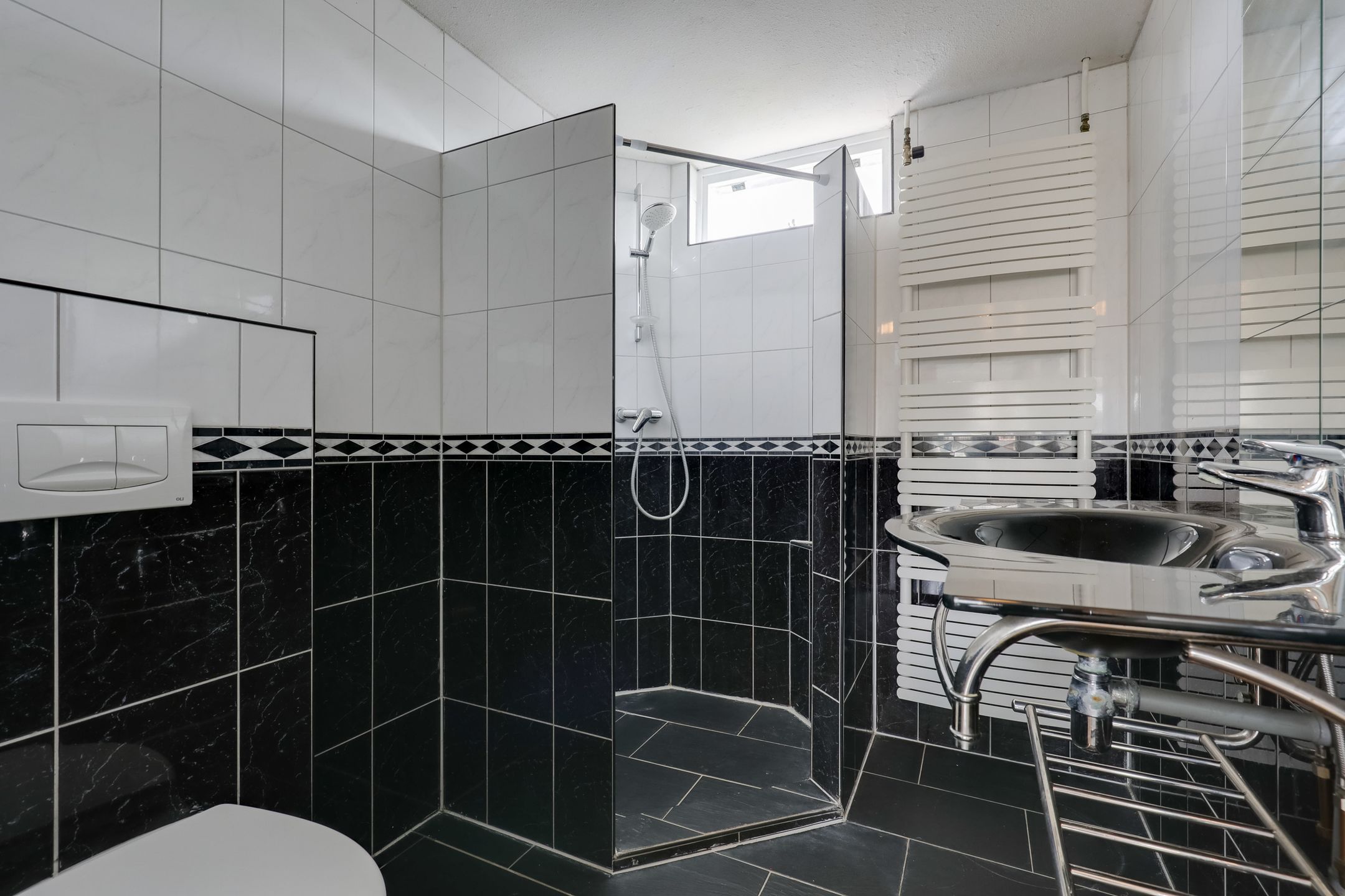 Photo 18 of Ganzepeppel 9