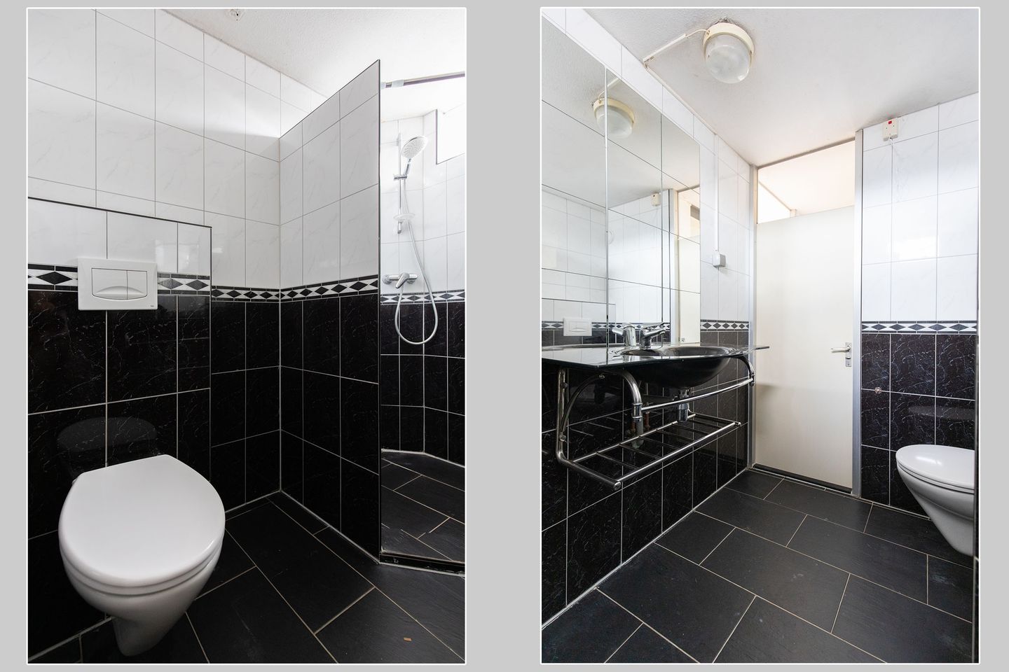 Photo 19 of Ganzepeppel 9