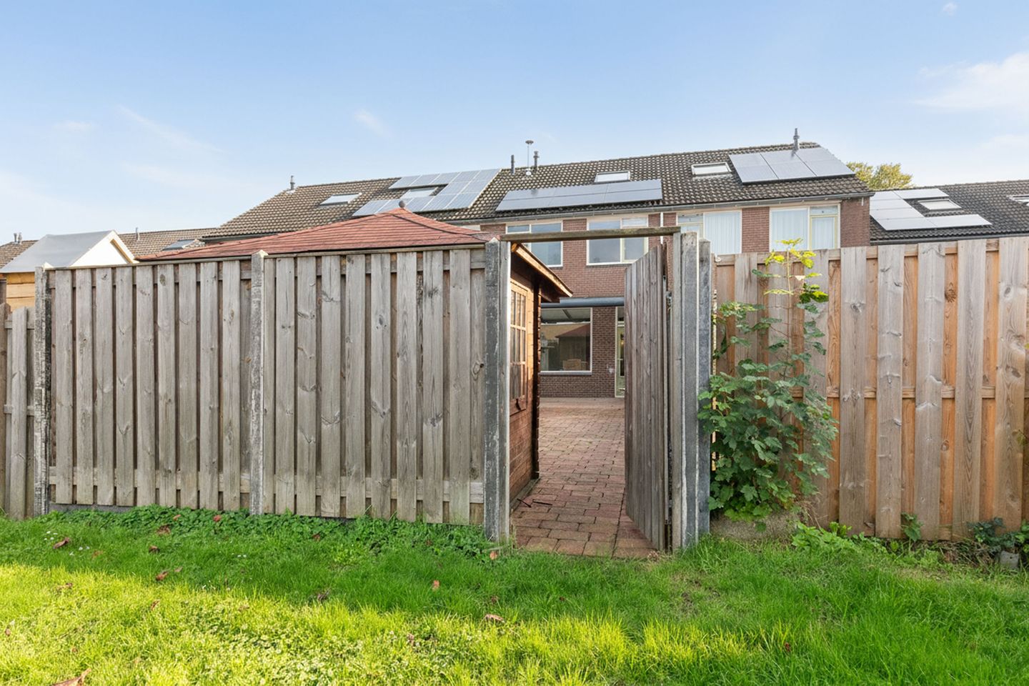 Photo 25 of Ganzepeppel 9