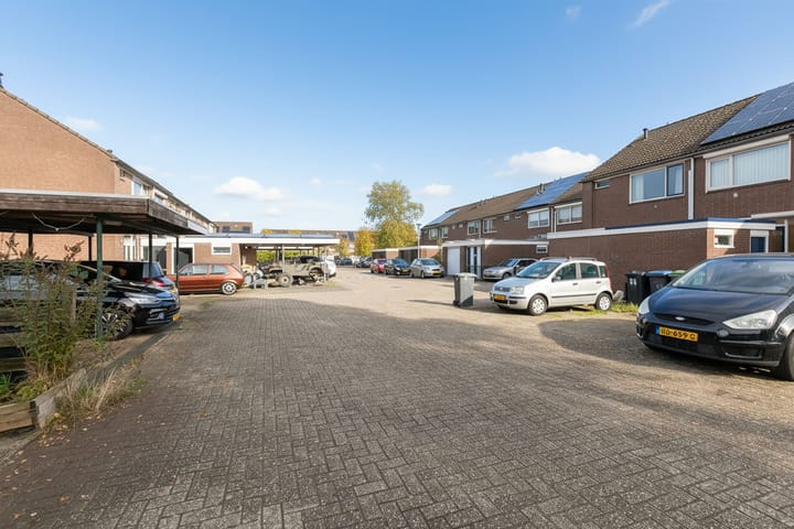 Foto 29 van Ganzepeppel 9