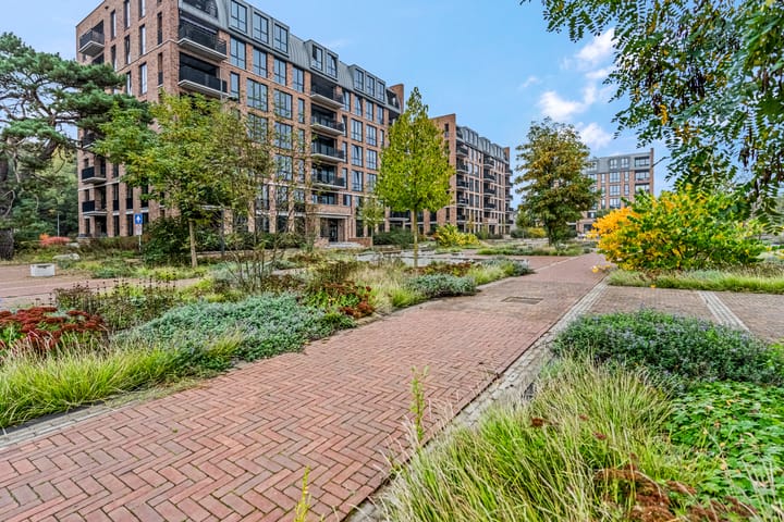 Foto 44 van Piet Smithof 10