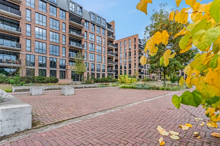 Foto 45 van Piet Smithof 10