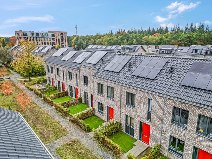 Foto 48 van Piet Smithof 10