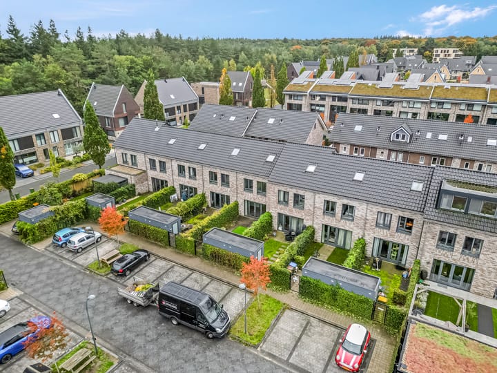 Foto 50 van Piet Smithof 10