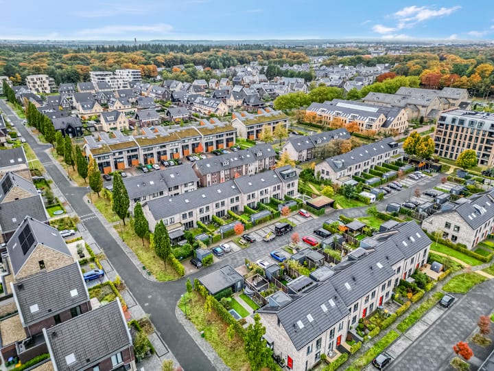 Foto 55 van Piet Smithof 10