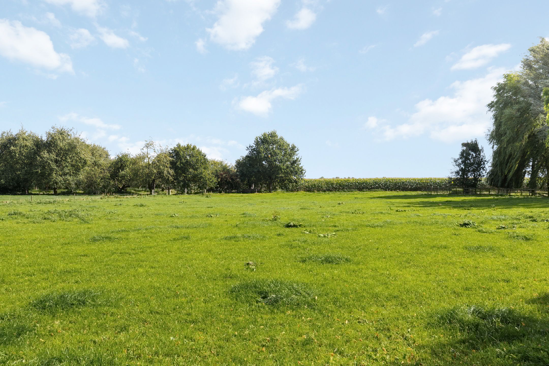 Photo 39 of Wijheseweg 8