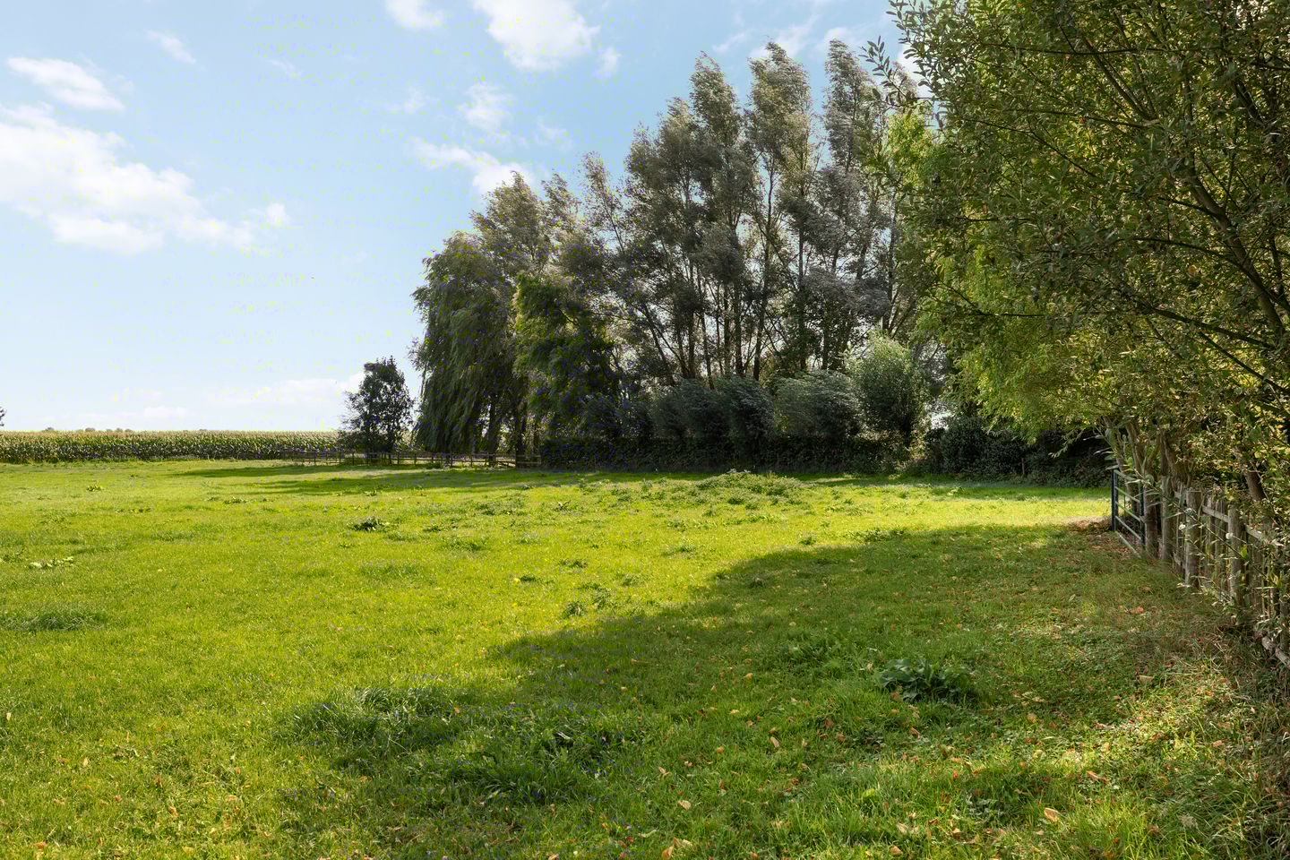 Photo 40 of Wijheseweg 8