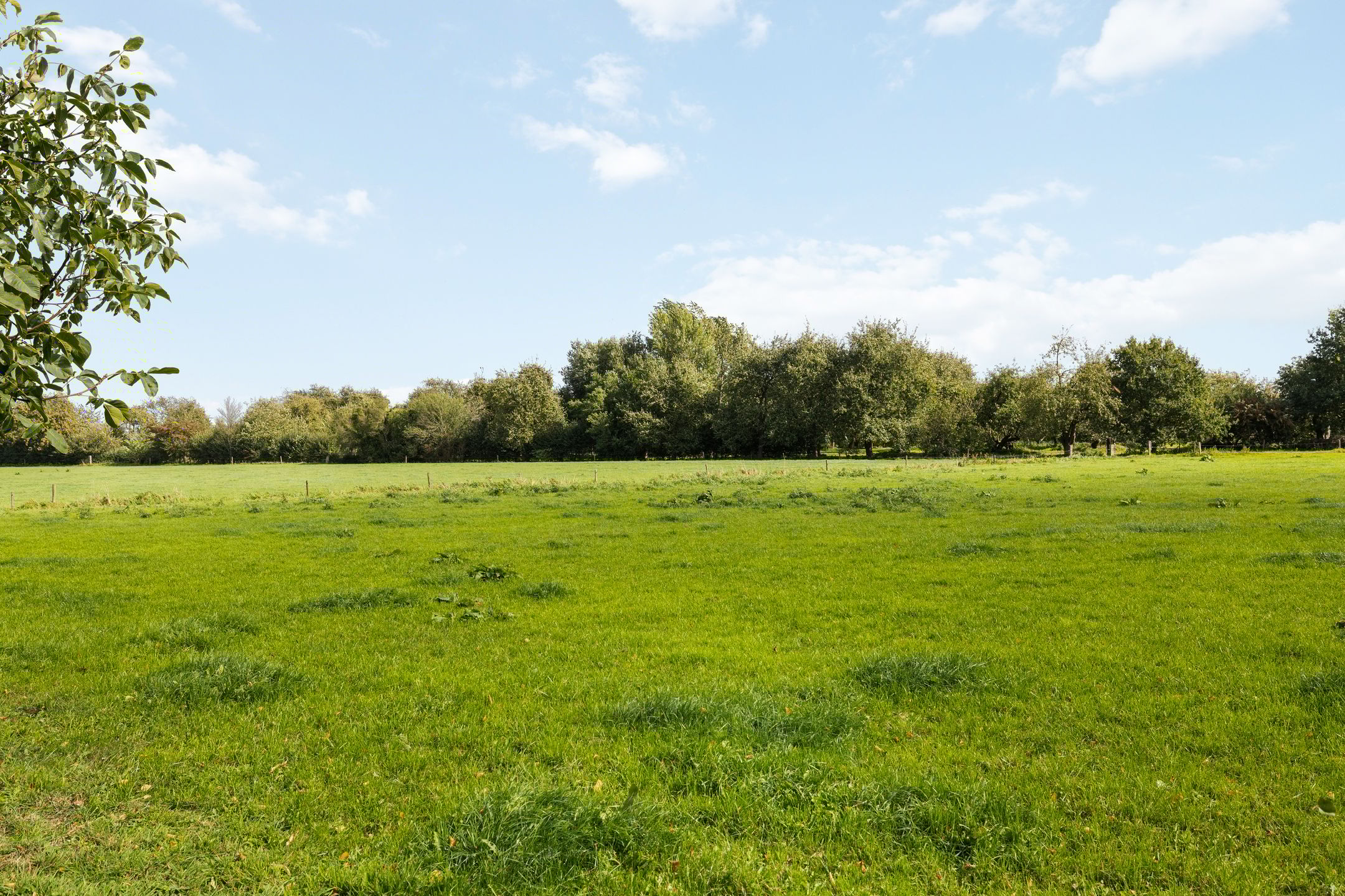 Photo 63 of Wijheseweg 8