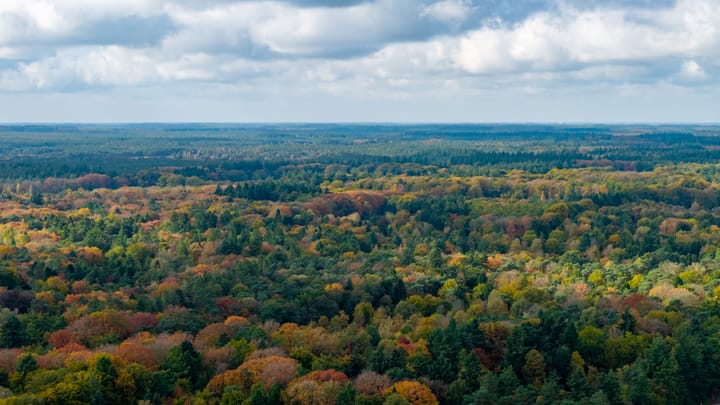 Foto 6 van Paalbeekweg 14