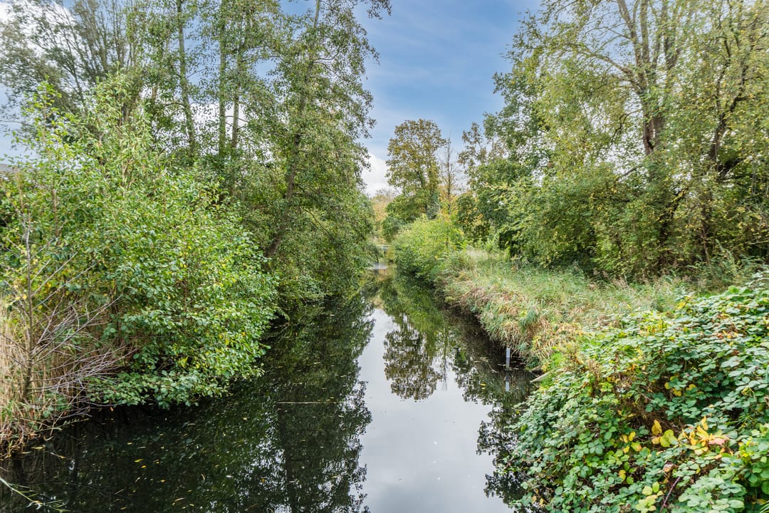 Foto 52 van Hiemerwaard 154